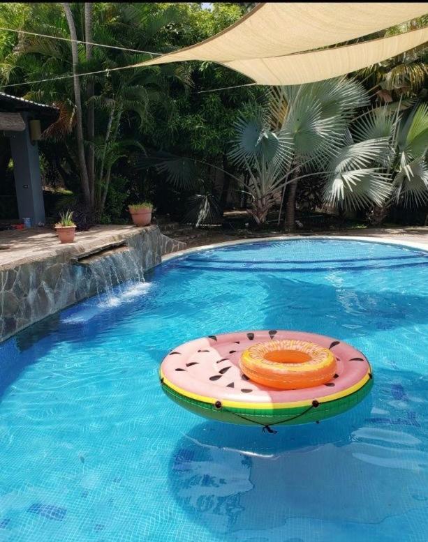 Lote 44 Guesthouse El Zonte Zewnętrze zdjęcie